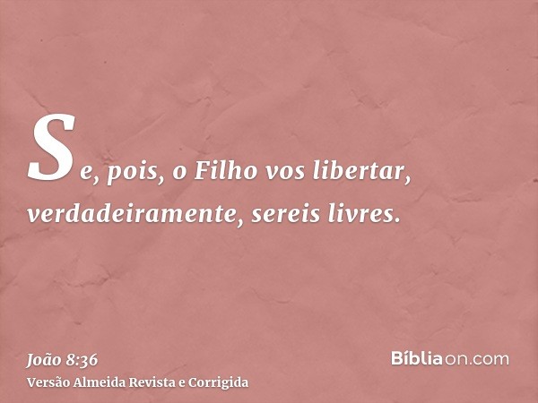 Se, pois, o Filho vos libertar, verdadeiramente, sereis livres.