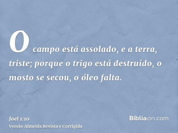 O campo está assolado, e a terra, triste; porque o trigo está destruído, o mosto se secou, o óleo falta.