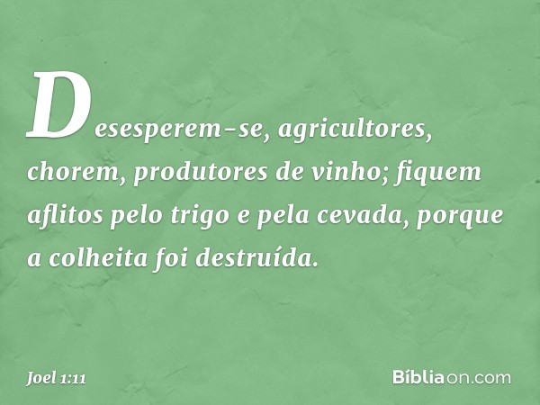 Desesperem-se, agricultores,
chorem, produtores de vinho;
fiquem aflitos pelo trigo e pela cevada,
porque a colheita foi destruída. -- Joel 1:11