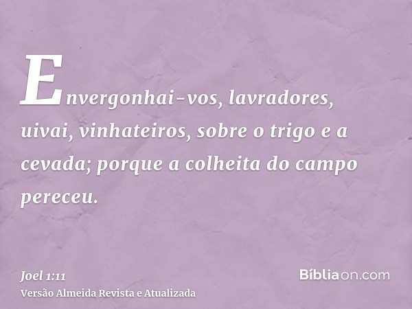 Envergonhai-vos, lavradores, uivai, vinhateiros, sobre o trigo e a cevada; porque a colheita do campo pereceu.