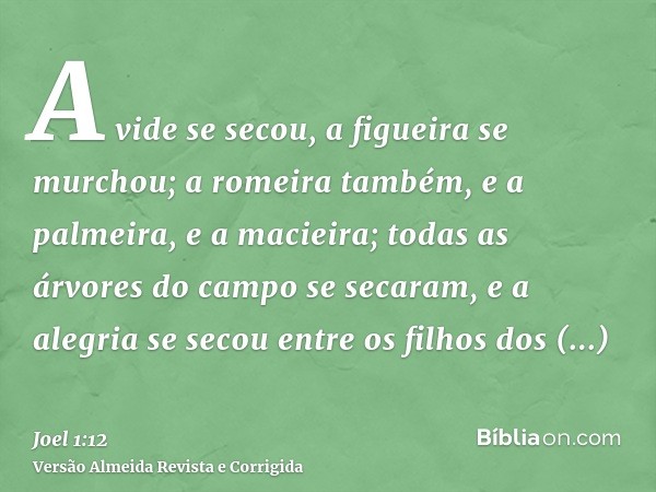A vide se secou, a figueira se murchou; a romeira também, e a palmeira, e a macieira; todas as árvores do campo se secaram, e a alegria se secou entre os filhos