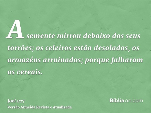 A semente mirrou debaixo dos seus torrões; os celeiros estão desolados, os armazéns arruinados; porque falharam os cereais.