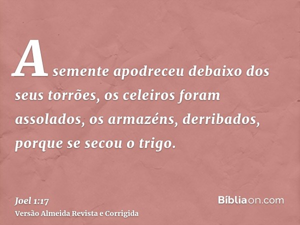 A semente apodreceu debaixo dos seus torrões, os celeiros foram assolados, os armazéns, derribados, porque se secou o trigo.