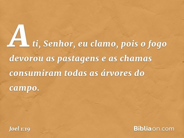 A ti, Senhor, eu clamo,
pois o fogo devorou as pastagens
e as chamas consumiram
todas as árvores do campo. -- Joel 1:19