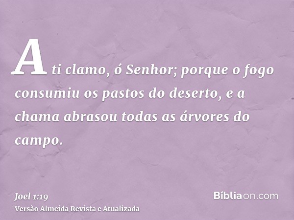 A ti clamo, ó Senhor; porque o fogo consumiu os pastos do deserto, e a chama abrasou todas as árvores do campo.