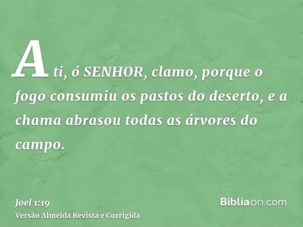 A ti, ó SENHOR, clamo, porque o fogo consumiu os pastos do deserto, e a chama abrasou todas as árvores do campo.
