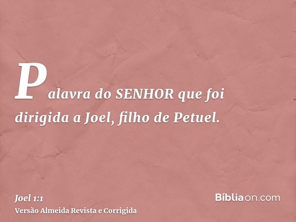 Palavra do SENHOR que foi dirigida a Joel, filho de Petuel.