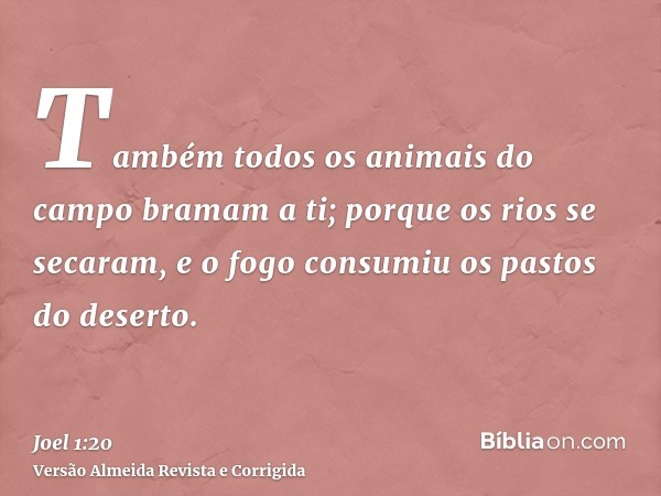 Também todos os animais do campo bramam a ti; porque os rios se secaram, e o fogo consumiu os pastos do deserto.