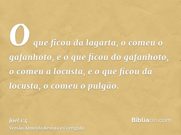 O que ficou da lagarta, o comeu o gafanhoto, e o que ficou do gafanhoto, o comeu a locusta, e o que ficou da locusta, o comeu o pulgão.