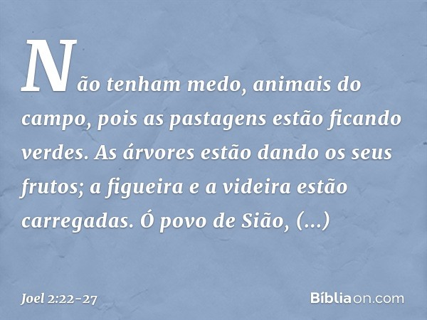 Não tenham medo, animais do campo,
pois as pastagens estão ficando verdes.
As árvores estão dando os seus frutos;
a figueira e a videira
estão carregadas. Ó pov