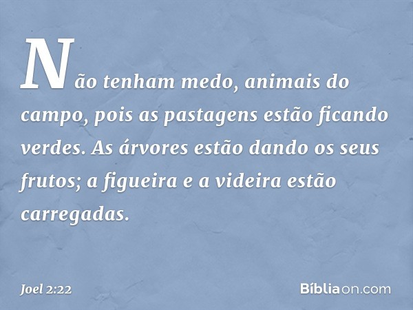 Não tenham medo, animais do campo,
pois as pastagens estão ficando verdes.
As árvores estão dando os seus frutos;
a figueira e a videira
estão carregadas. -- Jo