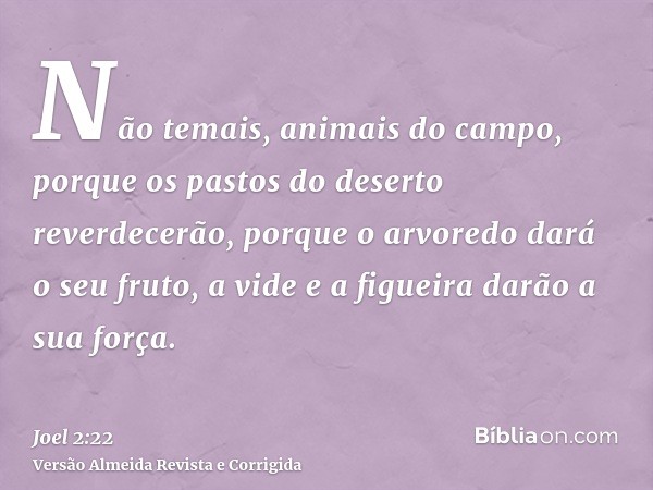 Não temais, animais do campo, porque os pastos do deserto reverdecerão, porque o arvoredo dará o seu fruto, a vide e a figueira darão a sua força.