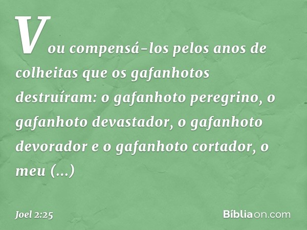 "Vou compensá-los
pelos anos de colheitas
que os gafanhotos destruíram:
o gafanhoto peregrino,
o gafanhoto devastador,
o gafanhoto devorador
e o gafanhoto corta