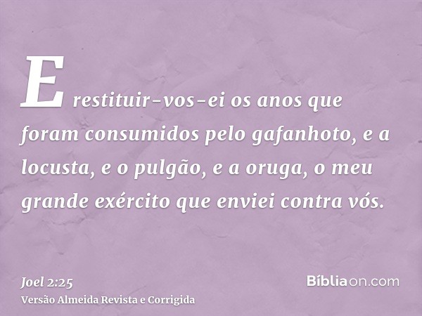 E restituir-vos-ei os anos que foram consumidos pelo gafanhoto, e a locusta, e o pulgão, e a oruga, o meu grande exército que enviei contra vós.