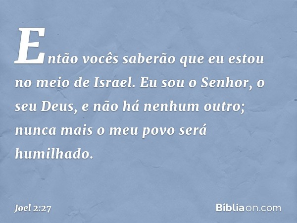 Então vocês saberão
que eu estou no meio de Israel.
Eu sou o Senhor, o seu Deus,
e não há nenhum outro;
nunca mais o meu povo será humilhado. -- Joel 2:27