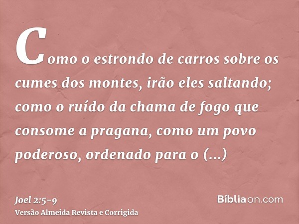 Como o estrondo de carros sobre os cumes dos montes, irão eles saltando; como o ruído da chama de fogo que consome a pragana, como um povo poderoso, ordenado pa