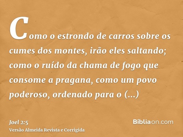 Como o estrondo de carros sobre os cumes dos montes, irão eles saltando; como o ruído da chama de fogo que consome a pragana, como um povo poderoso, ordenado pa