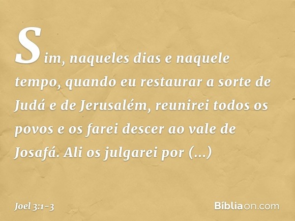 "Sim, naqueles dias e naquele tempo,
quando eu restaurar a sorte
de Judá e de Jerusalém, reunirei todos os povos
e os farei descer ao vale de Josafá.
Ali os jul