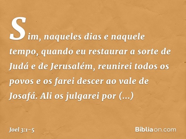 "Sim, naqueles dias e naquele tempo,
quando eu restaurar a sorte
de Judá e de Jerusalém, reunirei todos os povos
e os farei descer ao vale de Josafá.
Ali os jul