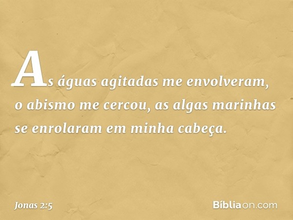 As águas agitadas me envolveram,
o abismo me cercou,
as algas marinhas
se enrolaram em minha cabeça. -- Jonas 2:5