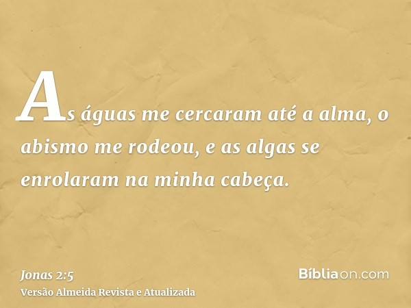 As águas me cercaram até a alma, o abismo me rodeou, e as algas se enrolaram na minha cabeça.