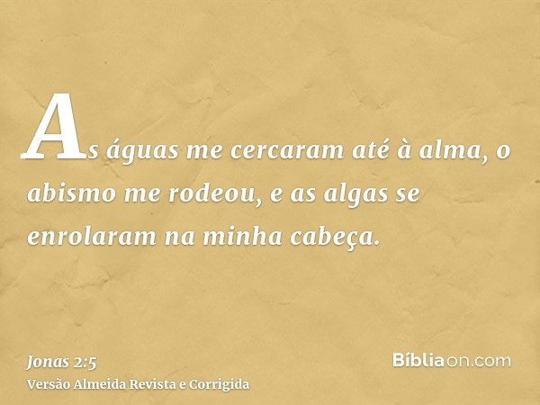 As águas me cercaram até à alma, o abismo me rodeou, e as algas se enrolaram na minha cabeça.