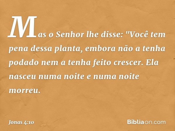 Mas o Senhor lhe disse: "Você tem pena dessa planta, embora não a tenha podado nem a tenha feito crescer. Ela nasceu numa noite e numa noite morreu. -- Jonas 4: