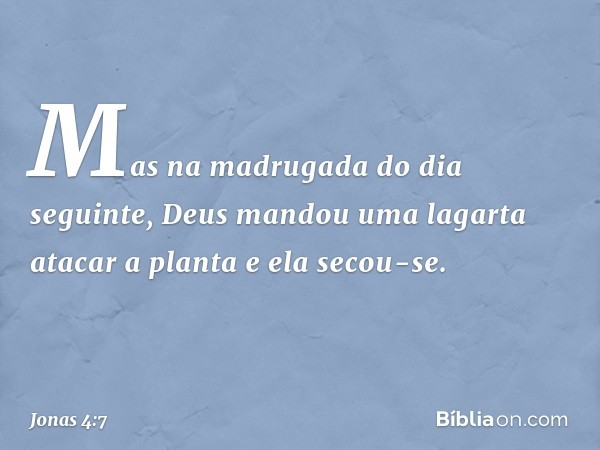 Mas na madrugada do dia seguinte, Deus mandou uma lagarta atacar a planta e ela secou-se. -- Jonas 4:7