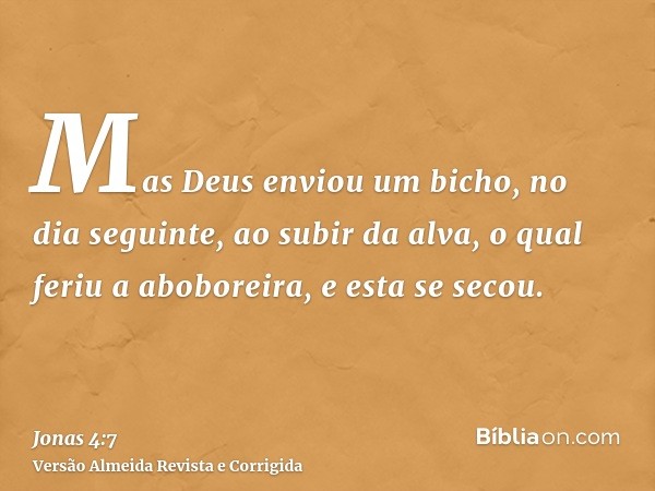Mas Deus enviou um bicho, no dia seguinte, ao subir da alva, o qual feriu a aboboreira, e esta se secou.