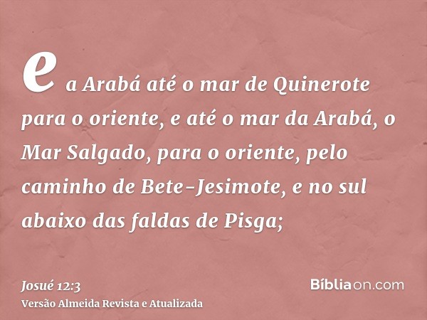 e a Arabá até o mar de Quinerote para o oriente, e até o mar da Arabá, o Mar Salgado, para o oriente, pelo caminho de Bete-Jesimote, e no sul abaixo das faldas 