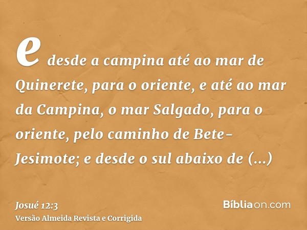 e desde a campina até ao mar de Quinerete, para o oriente, e até ao mar da Campina, o mar Salgado, para o oriente, pelo caminho de Bete-Jesimote; e desde o sul 