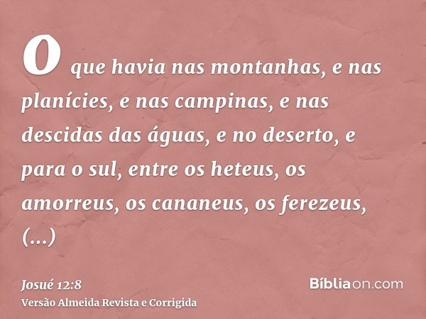 o que havia nas montanhas, e nas planícies, e nas campinas, e nas descidas das águas, e no deserto, e para o sul, entre os heteus, os amorreus, os cananeus, os 