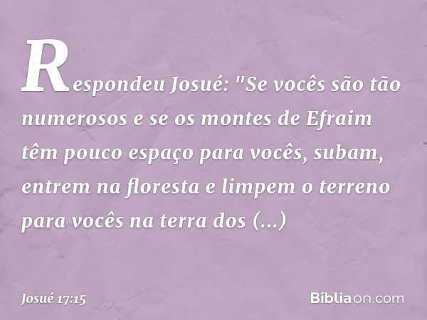 Respondeu Josué: "Se vocês são tão numerosos e se os montes de Efraim têm pouco espaço para vocês, subam, entrem na floresta e limpem o terreno para vocês na te