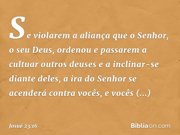 Se violarem a aliança que o Senhor, o seu Deus, ordenou e passarem a cultuar outros deuses e a inclinar-se diante deles, a ira do Senhor se acenderá contra você