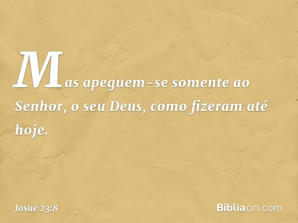 Mas apeguem-se somente ao Senhor, o seu Deus, como fizeram até hoje. -- Josué 23:8