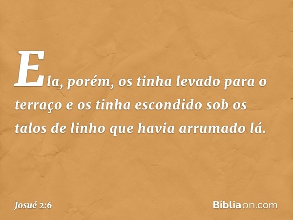 Ela, porém, os tinha levado para o terraço e os tinha escondido sob os talos de linho que havia arrumado lá. -- Josué 2:6