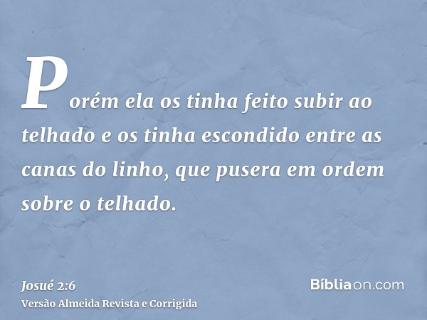 Porém ela os tinha feito subir ao telhado e os tinha escondido entre as canas do linho, que pusera em ordem sobre o telhado.