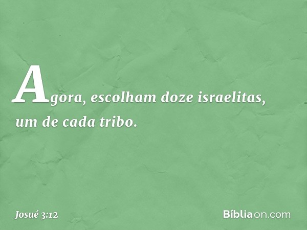 Ago­ra, escolham doze israelitas, um de cada tribo. -- Josué 3:12