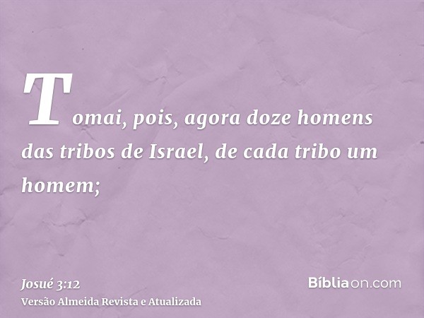 Tomai, pois, agora doze homens das tribos de Israel, de cada tribo um homem;