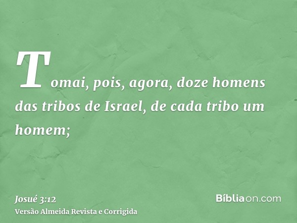 Tomai, pois, agora, doze homens das tribos de Israel, de cada tribo um homem;