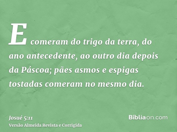 E comeram do trigo da terra, do ano antecedente, ao outro dia depois da Páscoa; pães asmos e espigas tostadas comeram no mesmo dia.