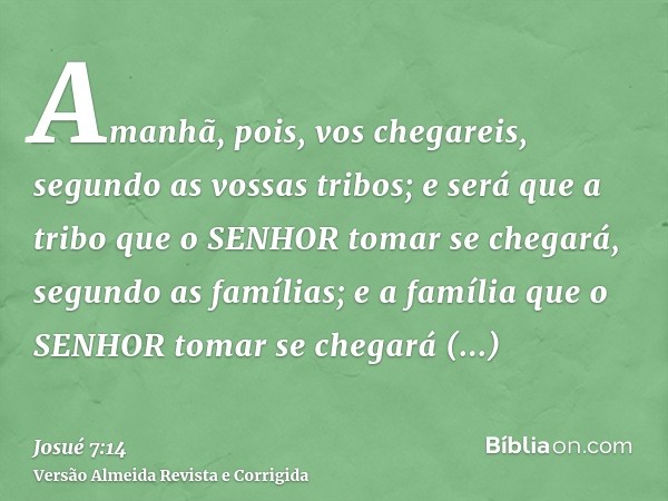 Amanhã, pois, vos chegareis, segundo as vossas tribos; e será que a tribo que o SENHOR tomar se chegará, segundo as famílias; e a família que o SENHOR tomar se 