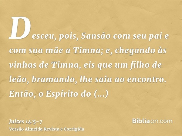 Desceu, pois, Sansão com seu pai e com sua mãe a Timna; e, chegando às vinhas de Timna, eis que um filho de leão, bramando, lhe saiu ao encontro.Então, o Espíri