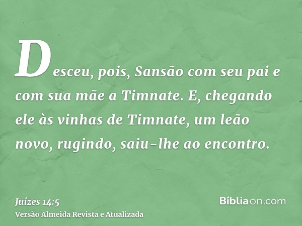 Desceu, pois, Sansão com seu pai e com sua mãe a Timnate. E, chegando ele às vinhas de Timnate, um leão novo, rugindo, saiu-lhe ao encontro.