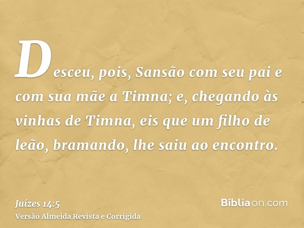 Desceu, pois, Sansão com seu pai e com sua mãe a Timna; e, chegando às vinhas de Timna, eis que um filho de leão, bramando, lhe saiu ao encontro.
