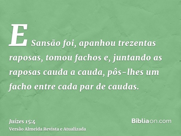 E Sansão foi, apanhou trezentas raposas, tomou fachos e, juntando as raposas cauda a cauda, pôs-lhes um facho entre cada par de caudas.