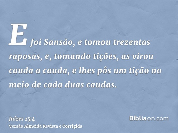 E foi Sansão, e tomou trezentas raposas, e, tomando tições, as virou cauda a cauda, e lhes pôs um tição no meio de cada duas caudas.