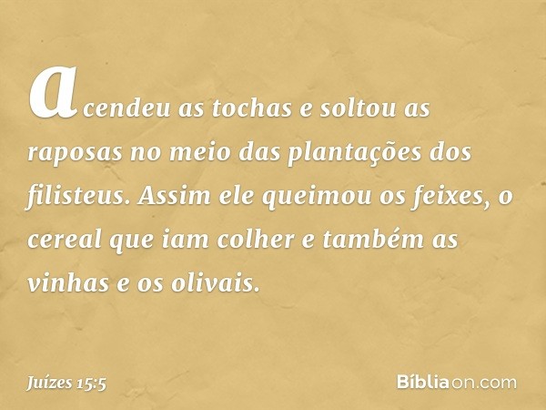 acendeu as tochas e soltou as raposas no meio das plantações dos filisteus. Assim ele queimou os feixes, o cereal que iam colher e também as vinhas e os olivais