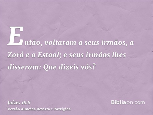 Então, voltaram a seus irmãos, a Zorá e a Estaol; e seus irmãos lhes disseram: Que dizeis vós?