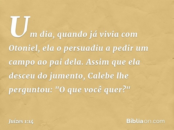 Um dia, quando já vivia com Otoniel, ela o persuadiu a pedir um campo ao pai dela. Assim que ela desceu do jumento, Calebe lhe perguntou: "O que você quer?" -- 